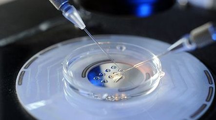 广州试管中介价格？试管婴儿具体流程有哪些