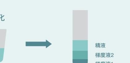 在皇家生殖遗传医院做试管婴儿治疗前的准备工作