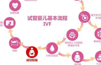 武警广东省总队医院做三代试管成功率如何？一文读懂需要花多少钱