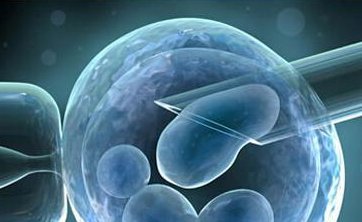 成都试管婴儿申请条件揭秘：为何结婚证与身份证缺一不可？