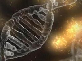 泰州市人民医院做三代试管成功率如何？一文读懂需要花多少钱